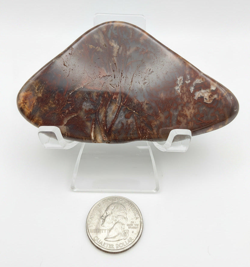 Red Plume Agate — Polished Specimen