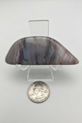 Kowallabe Quartzite — Polished Specimen